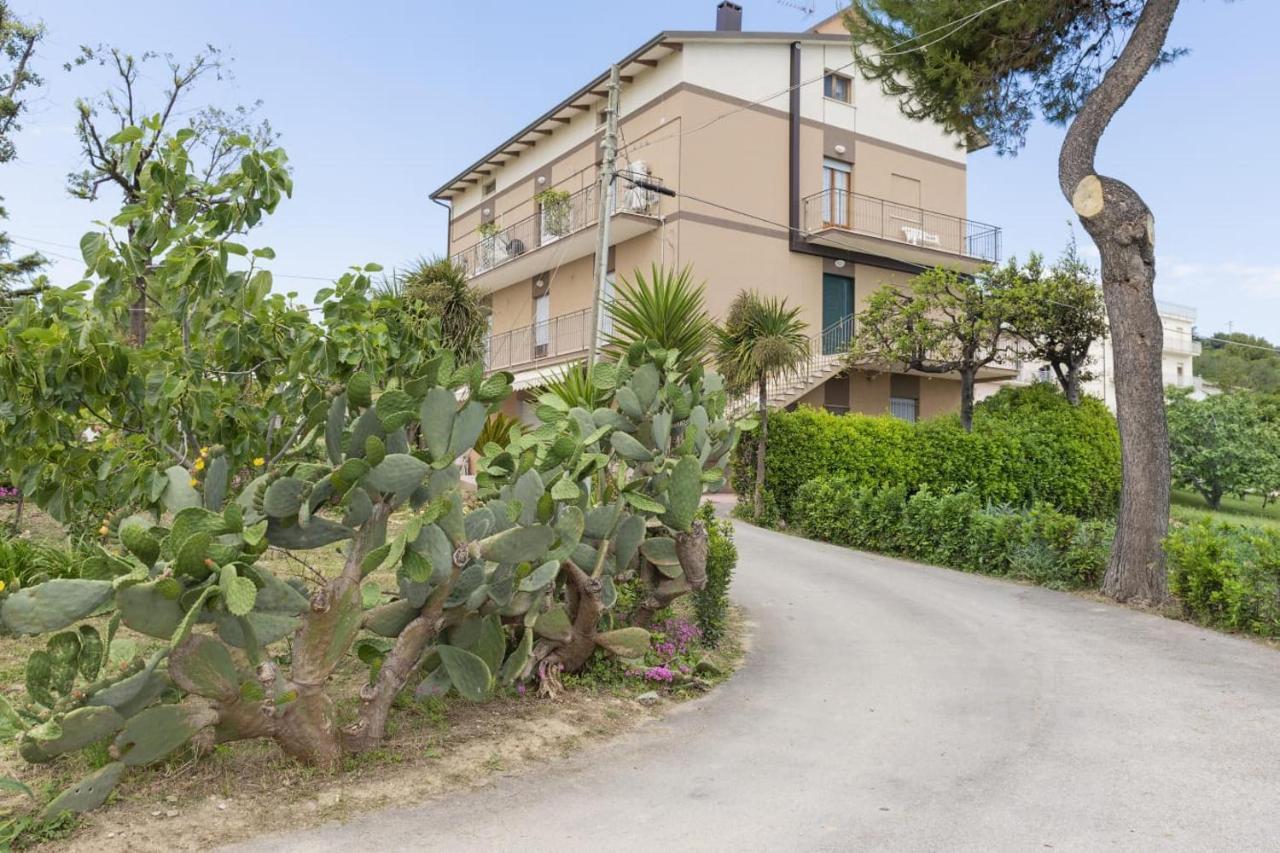 B&B Alba Sul Mare Guest House Massignano Kültér fotó